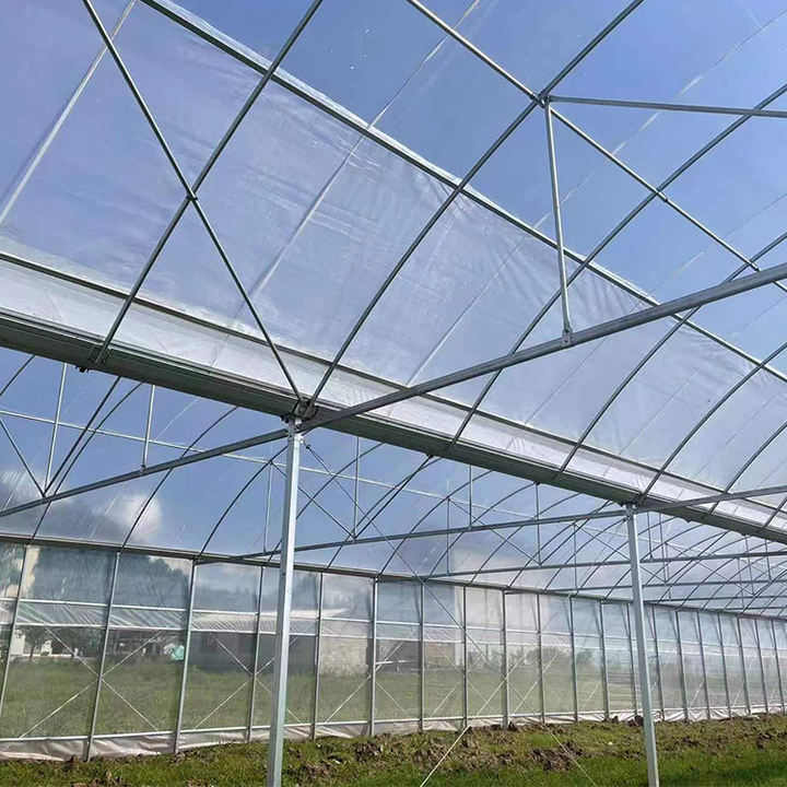 Low Cost Outside Shading System Strawberry Film Multi-span Tunnel Plastic Film Greenhouse For Agricultural Affordable Factory Pricing Supply