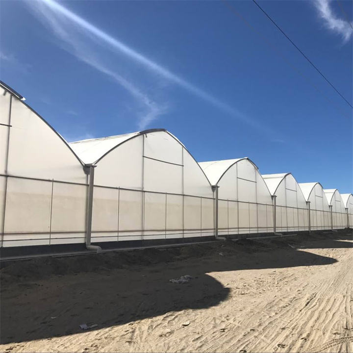 Multi-span Agricultural Greenhouses Galvanized Steel Frame Butterfly Roof Vent Greenhouse For Vegetables Manufacturing Solutions