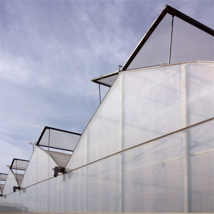 Multi-span Agricultural Greenhouses Galvanized Steel Frame Butterfly Roof Vent Greenhouse For Vegetables Manufacturing Solutions