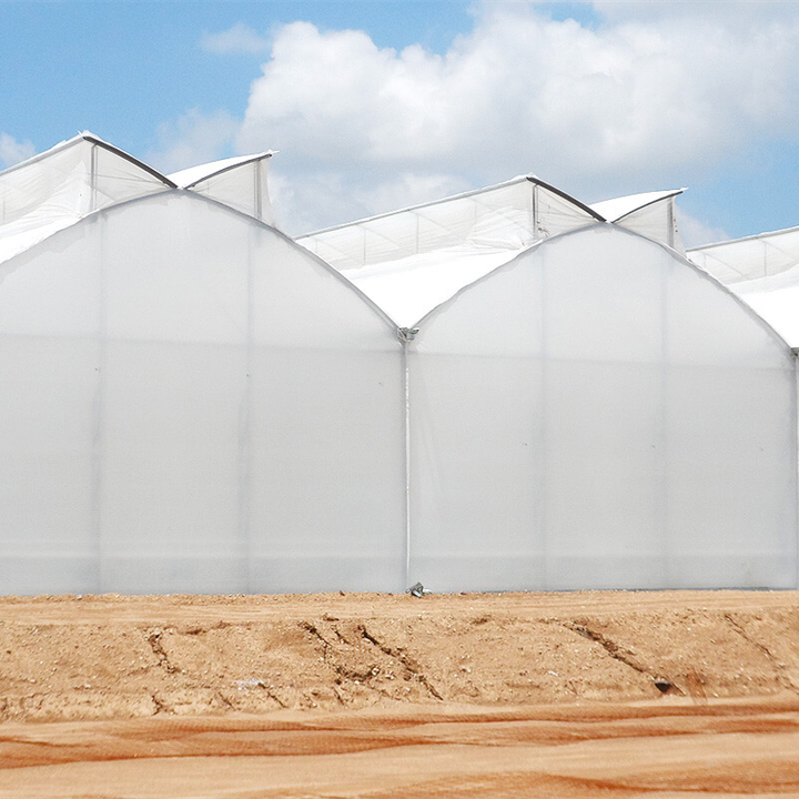 Multi-span Agricultural Greenhouses Galvanized Steel Frame Butterfly Roof Vent Greenhouse For Vegetables Manufacturing Solutions