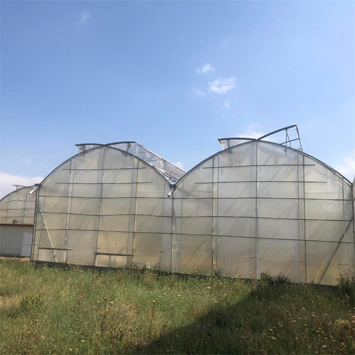Multi-span Agricultural Greenhouses Galvanized Steel Frame Butterfly Roof Vent Greenhouse For Vegetables Manufacturing Solutions