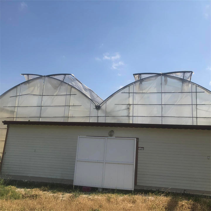 Multi-span Agricultural Greenhouses Galvanized Steel Frame Butterfly Roof Vent Greenhouse For Vegetables Manufacturing Solutions