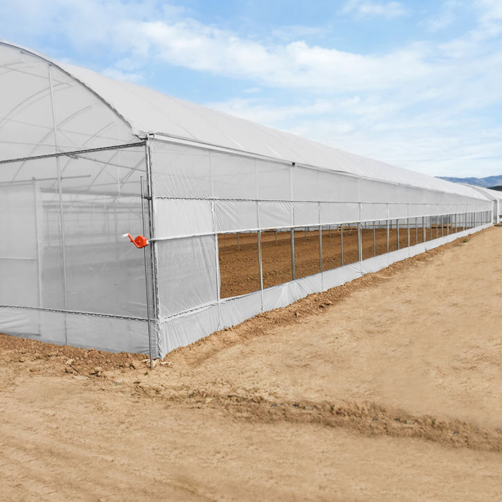 Multispan Tomato Vegetable Plastics Tunnel House Agricultural Greenhouse For Mushroom China Factory Supply