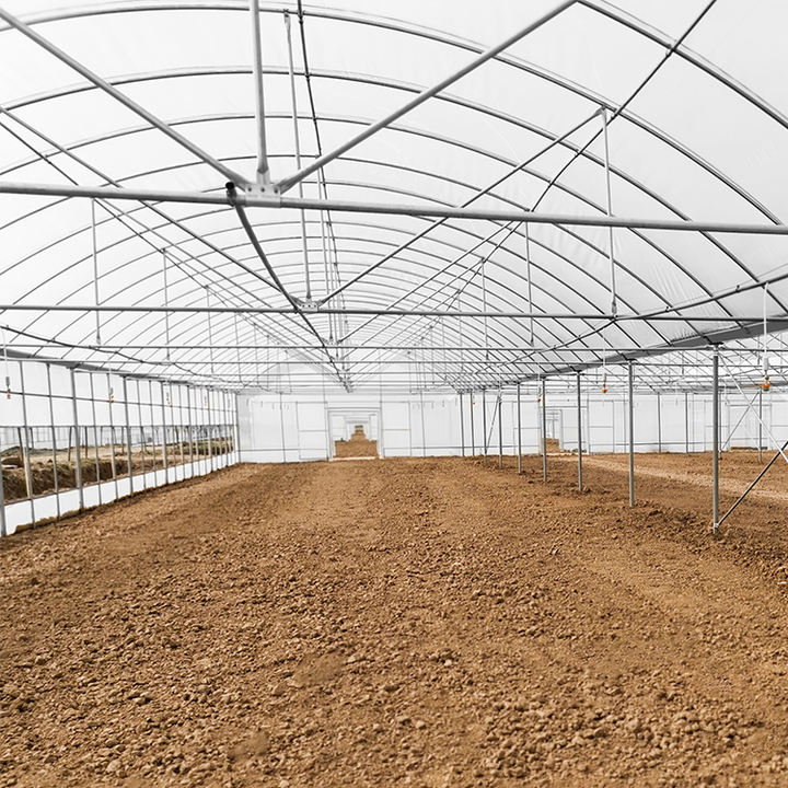 Multispan Tomato Vegetable Plastics Tunnel House Agricultural Greenhouse For Mushroom China Factory Supply