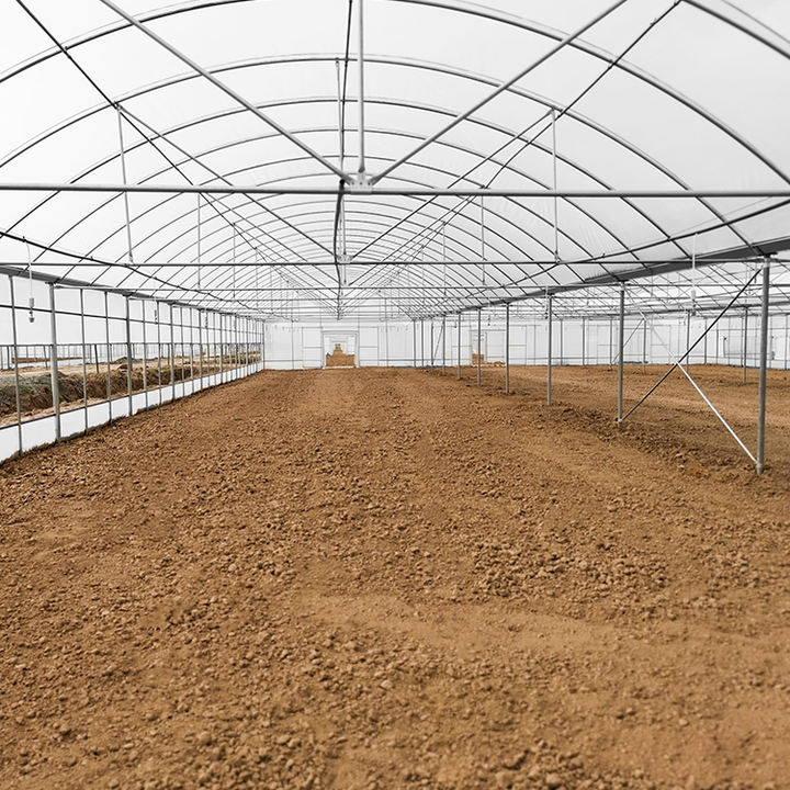 Multispan Tomato Vegetable Plastics Tunnel House Agricultural Greenhouse For Mushroom China Factory Supply
