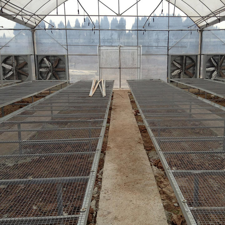 Outside inner shading system nursery seedbed rolling benches shed net big multi span film greenhouse for flower growing