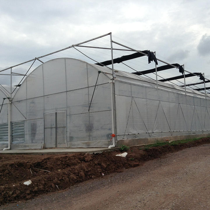 Outside inner shading system nursery seedbed rolling benches shed net big multi span film greenhouse for flower growing