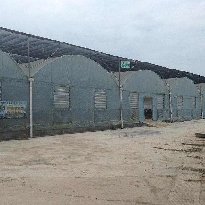 Outside inner shading system nursery seedbed rolling benches shed net big multi span film greenhouse for flower growing