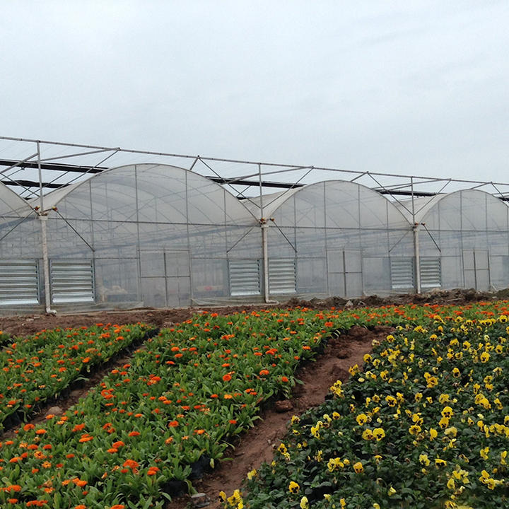 Outside inner shading system nursery seedbed rolling benches shed net big multi span film greenhouse for flower growing