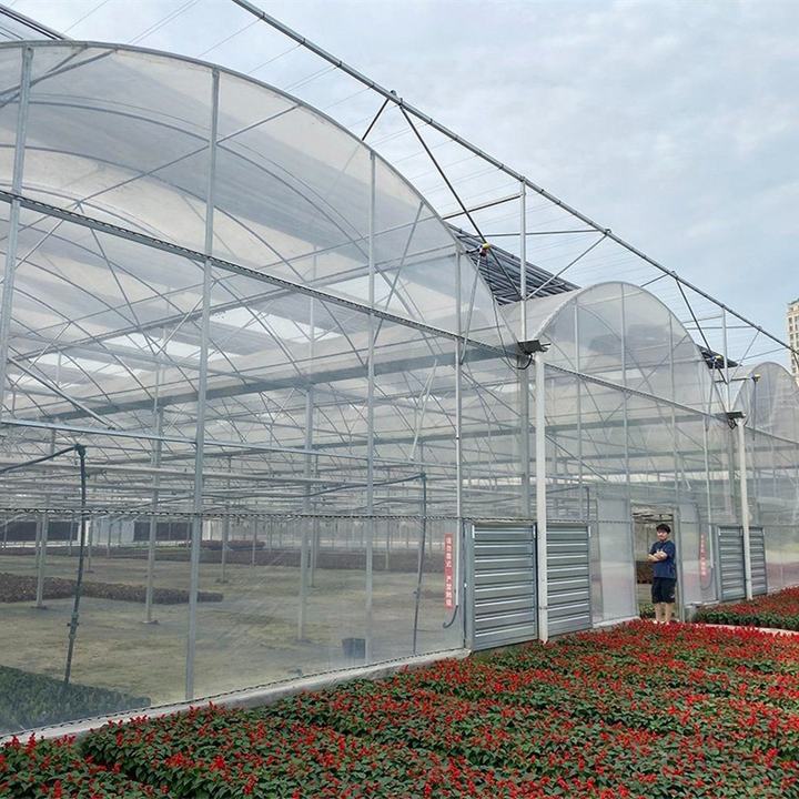 Plastic Shed Automatic Agriculture Multispan Plastic Film Greenhouse Tunnel Greenhouse For Vegetables