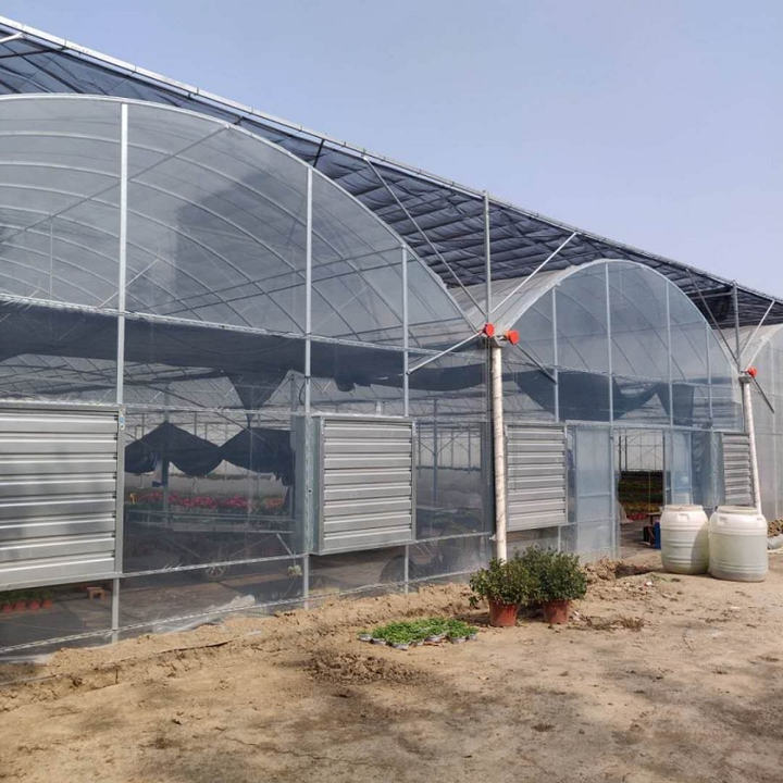 Plastic Shed Automatic Agriculture Multispan Plastic Film Greenhouse Tunnel Greenhouse For Vegetables