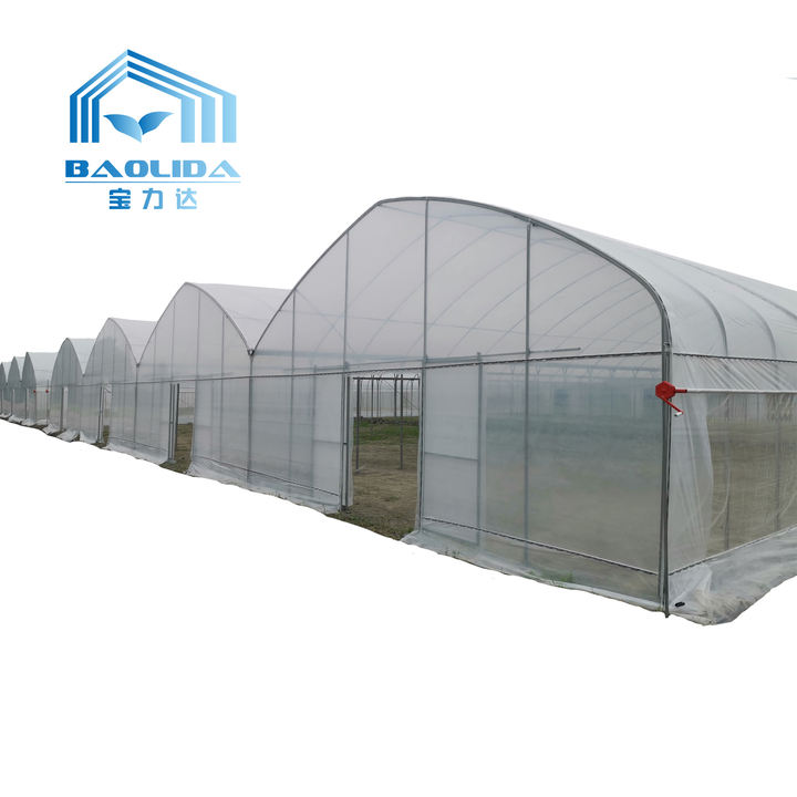 Professional Manufacturers Chinese Agricultural Intelligent Film Serre Invernadero Multi-span Tomato Greenhouse Structure