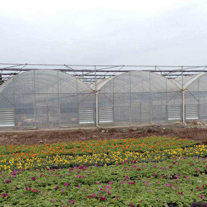 Professional environment controller cooling ventilation system plastic film multispan greenhouse for vegetables growing