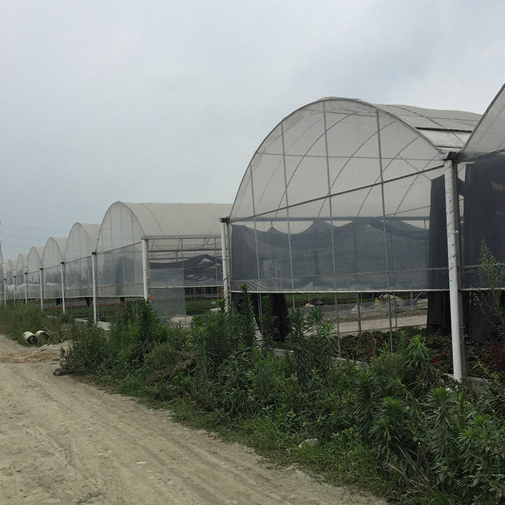 Professional environment controller cooling ventilation system plastic film multispan greenhouse for vegetables growing