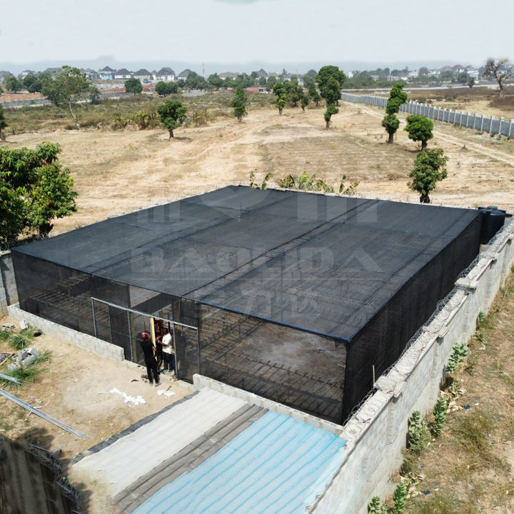 Rectangular greenhouse 40*40m shade net greenhouse for tropical areas against insects and birds serre invernadero Mass Wholesale Innovation