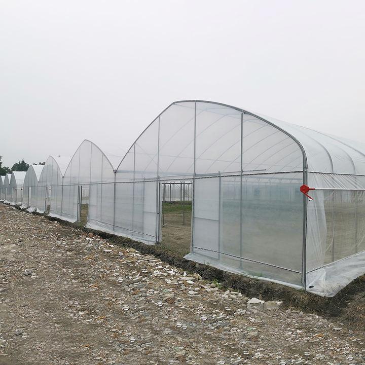 Rolling benches hydroponic greenhouse systems polyester mesh multi-span greenhouses