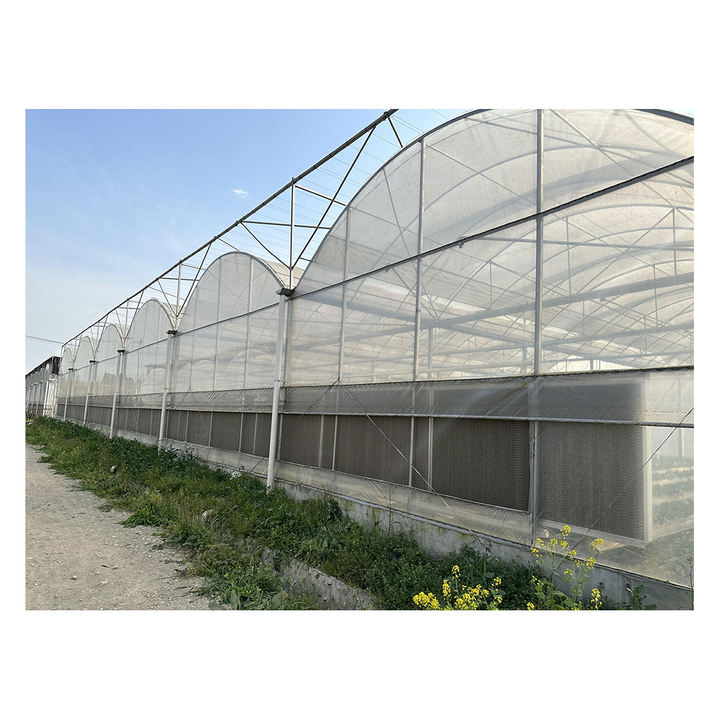 Rolling benches seedling greenhouse structure galvanized steel multi-span greenhouses for agriculture Discount Wholesale