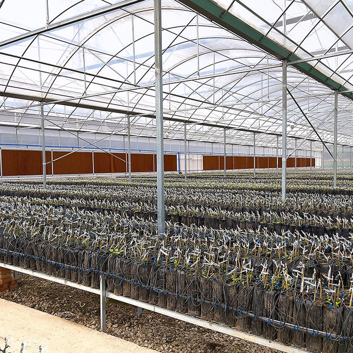 Rolling benches seedling greenhouse structure galvanized steel multi-span greenhouses for agriculture Discount Wholesale