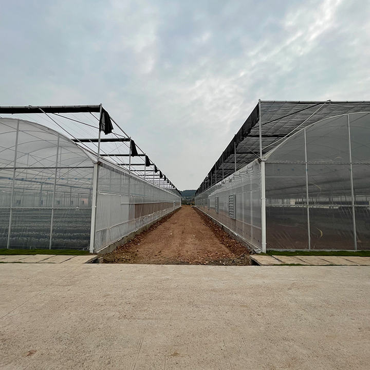 Rolling benches seedling greenhouse structure galvanized steel multi-span greenhouses for agriculture Discount Wholesale