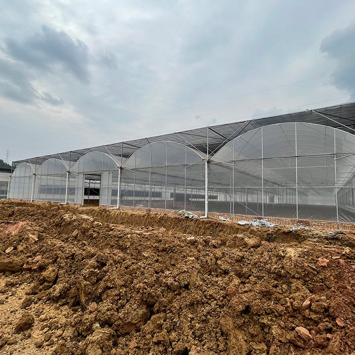 Rolling benches seedling greenhouse structure galvanized steel multi-span greenhouses for agriculture Discount Wholesale
