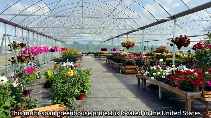 Strawberry greenhouse multi-span greenhouses multi span plastic film agricultural greenhouses Rapid Production Solutions Manufacturer