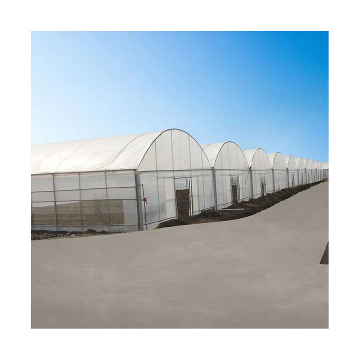 Strawberry greenhouse multi-span greenhouses multi span plastic film agricultural greenhouses Rapid Production Solutions Manufacturer