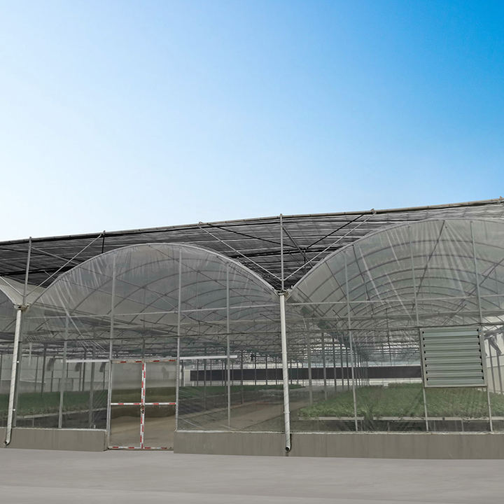 Strawberry greenhouse multi-span greenhouses multi span plastic film agricultural greenhouses Rapid Production Solutions Manufacturer