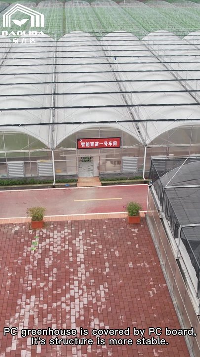 Temperature regulation climate control agriculture productive side ventilation system agriculture multispan greenhouse