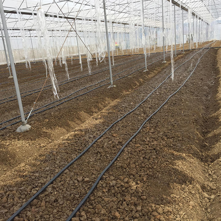 Temperature regulation climate control agriculture productive side ventilation system agriculture multispan greenhouse