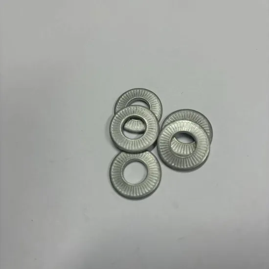 French Standard Dish Emboweled Knurled Spring Gasket