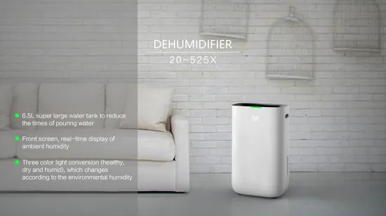 20L/Day 24 Hours Timer Mobile Smart Portable Dehumidifier