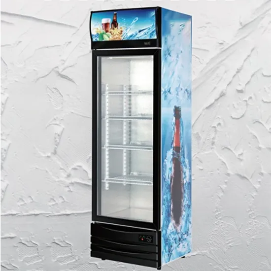 220L OEM Upright Standing Display Fridge Show Case Refrigerator with LED