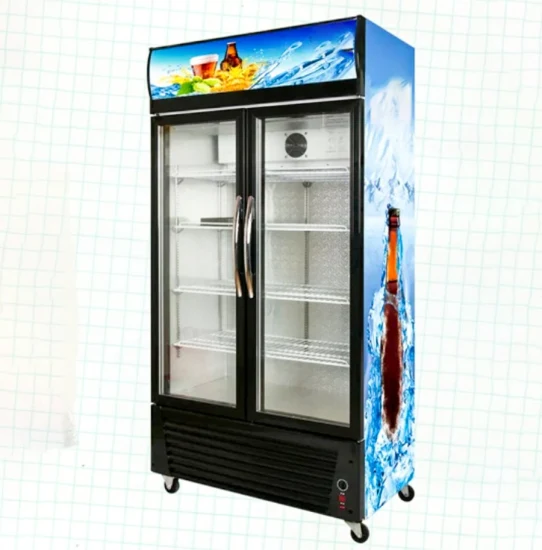 728L OEM Double Doors Upright Showcase Double Glass Door Display