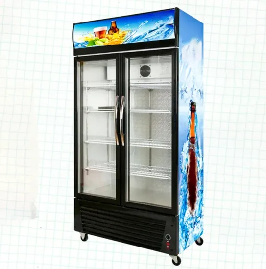 880L Large Capacity Commercial Double Doors Showcase Refrigerator