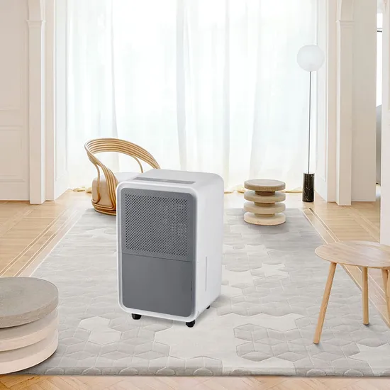 Fuda Moisture Absorber 10L/Day Refrigerant Mini Hot Sell Smart Domestic Air Dehumidifier