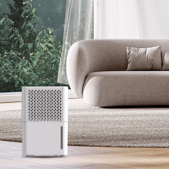 High Efficiency Moisture Absorber Low Noisy Portable Domestic Dehumidifier with UVC Air Purifier and Remote