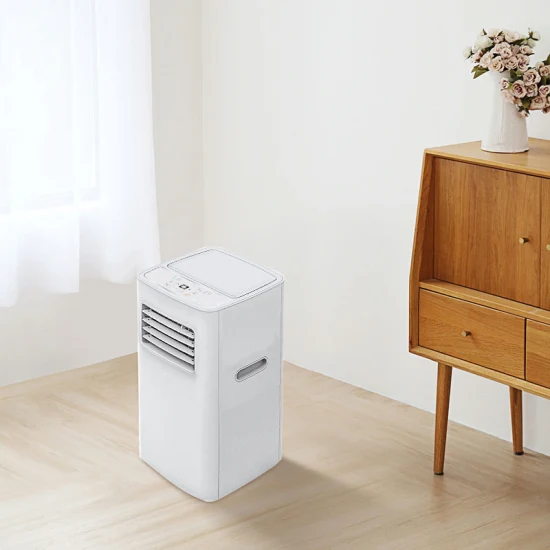 Mobile Portable Air Conditioner Dehumidification and Fast Cooling