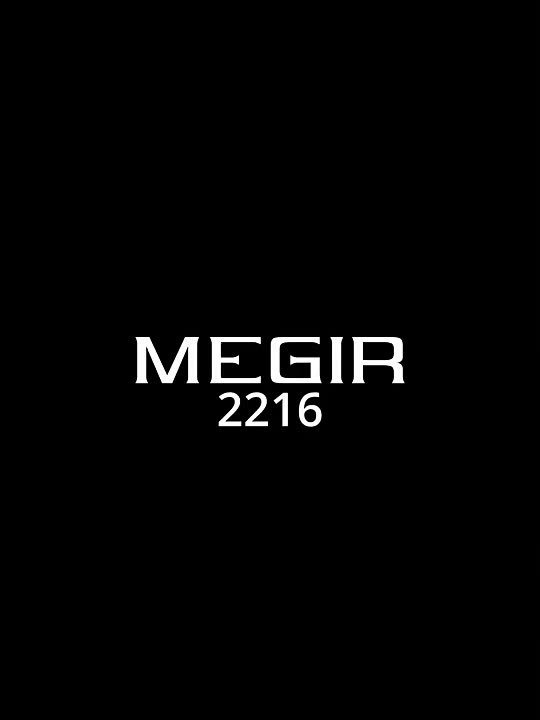 MEGIR 2216 Brand Men's quartz watch luxury chronograph sports waterproof watch for men