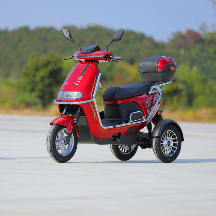 2023 New 3 Wheel Electric Bicycle Motorcycle 800W 40KM/H 3 Wheel Electric Moped Scooter For Adults Affordable Wholesale Services