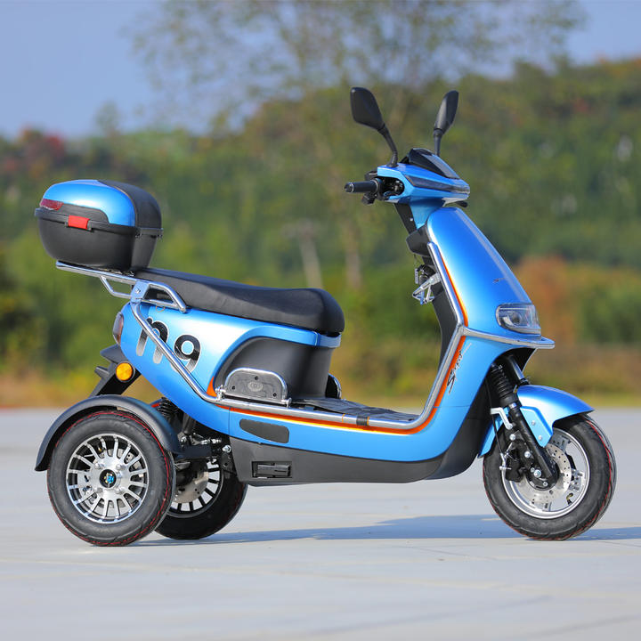 2023 New 3 Wheel Electric Bicycle Motorcycle 800W 40KM/H 3 Wheel Electric Moped Scooter For Adults Affordable Wholesale Services