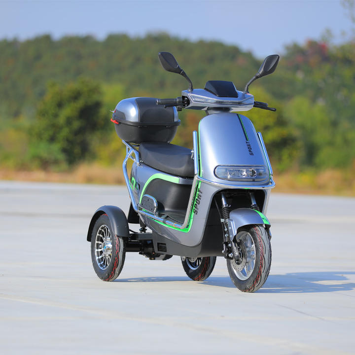 2023 New 3 Wheel Electric Bicycle Motorcycle 800W 40KM/H 3 Wheel Electric Moped Scooter For Adults Affordable Wholesale Services
