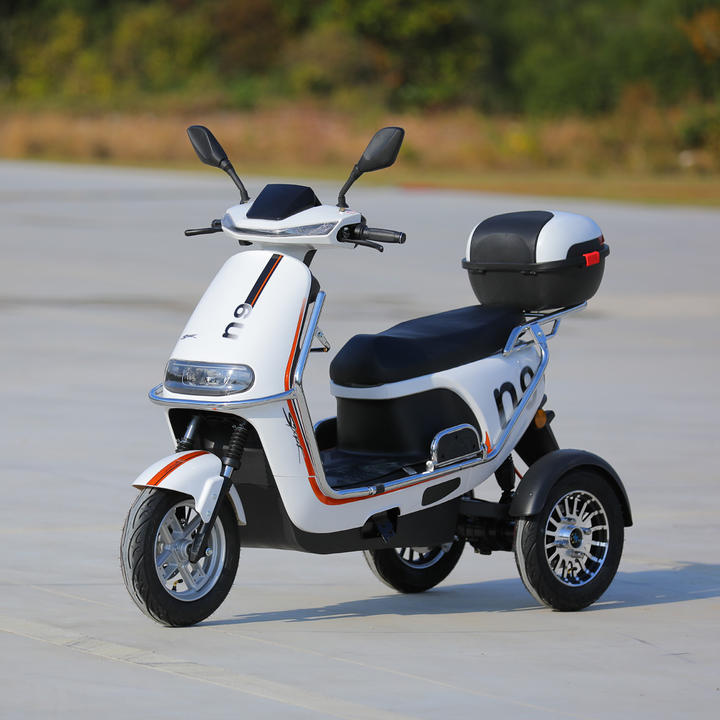 2023 New 3 Wheel Electric Bicycle Motorcycle 800W 40KM/H 3 Wheel Electric Moped Scooter For Adults Affordable Wholesale Services