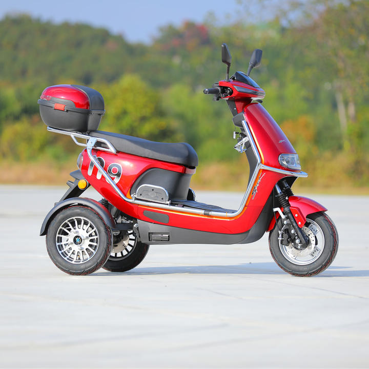 2023 New 3 Wheel Electric Bicycle Motorcycle 800W 40KM/H 3 Wheel Electric Moped Scooter For Adults Affordable Wholesale Services