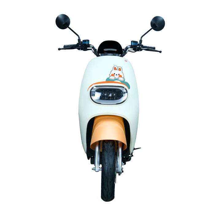 2024 New Electric Motorcycle Electric Bicycle 1000W Fast Delivery Electric Scooter Moped For Adults