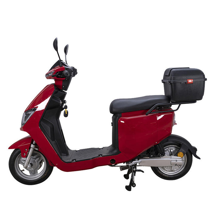 Factory direct On sale motorcycle 48V/ 60V 800W  electric bike 300-10 tyre electric bicycle  with case for adult B2B Factory Pricing Processing