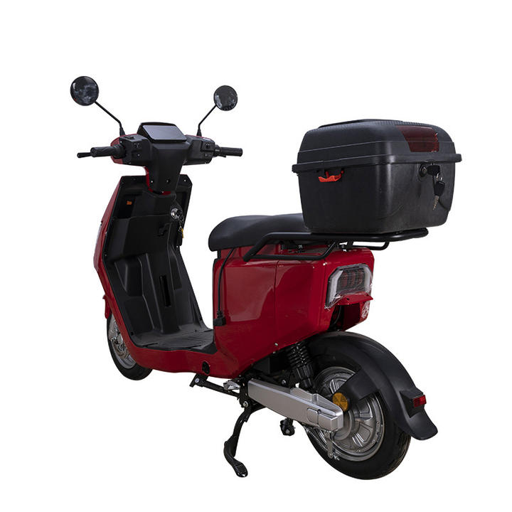 Factory direct On sale motorcycle 48V/ 60V 800W  electric bike 300-10 tyre electric bicycle  with case for adult B2B Factory Pricing Processing