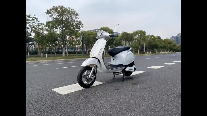 Hot Sale Factory Price Tesla Electric Motorcycle 1000W 60V 20AH Fashion City Electric Motorcycle For Family Factory-Owned Wholesale