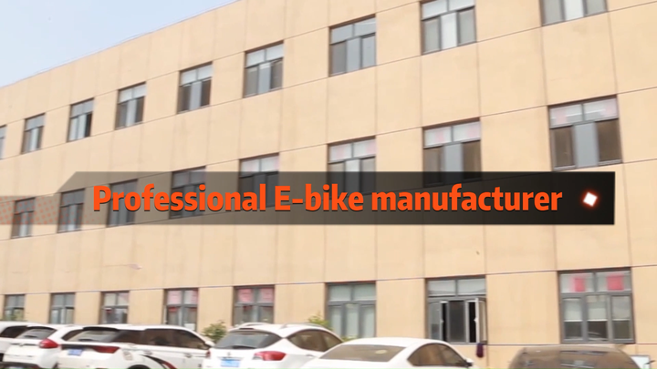 Wholesale 60W 1000W Motorcycle Electric Bike Lead Acid Scooter Long Range Adult Electric Moped China OEM Supplier