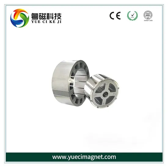 Custom Arc Permanent Neodymium Segment Magnet for Motor