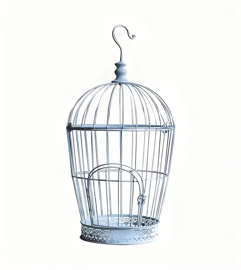 High Quality Different Color Size Style Metal Bird Cage